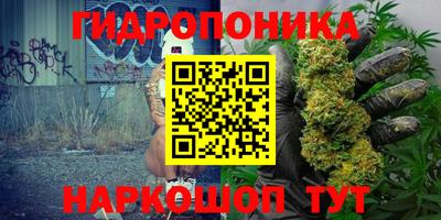 индика Наро-Фоминск