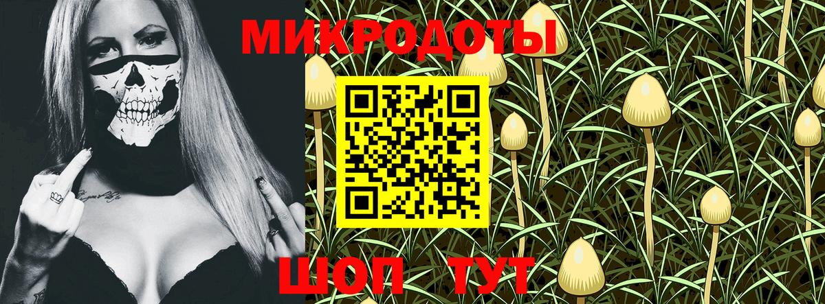 Псилоцибиновые грибы прущие грибы  Вход с VPN  Сергиев Посад 